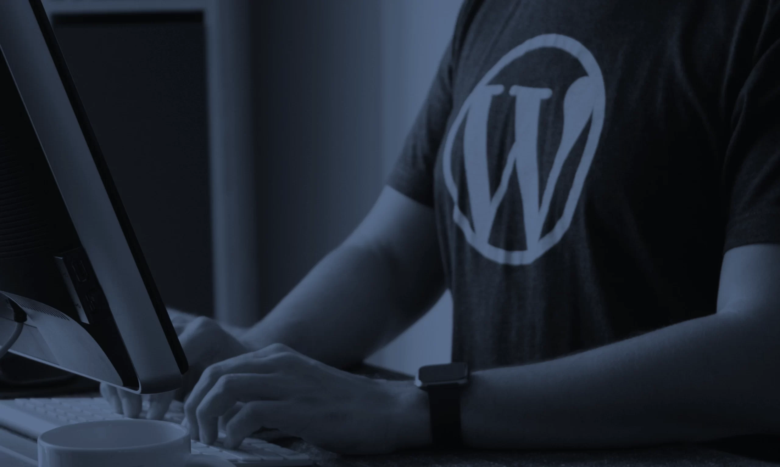 Developer in WordPress t-shirt developing